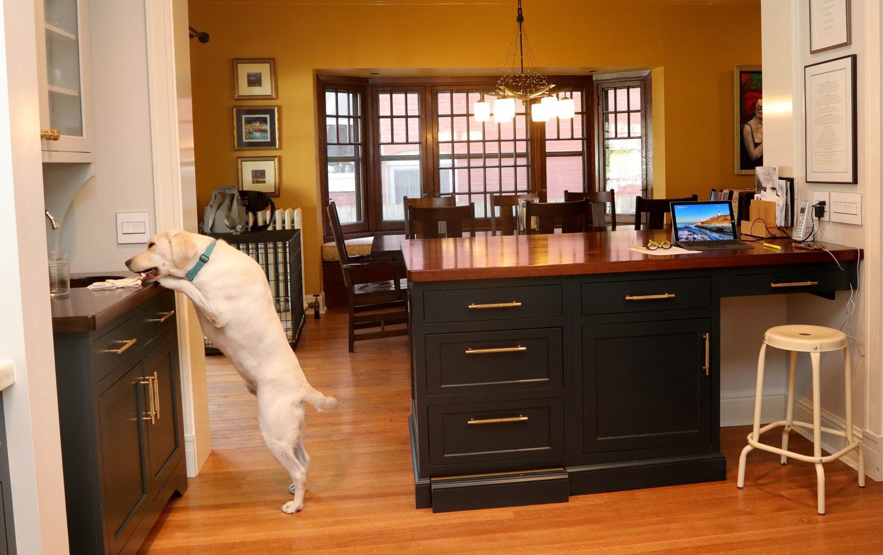 At Home- The Wolkoff's home in Compton Heights